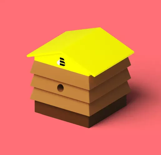 Hive